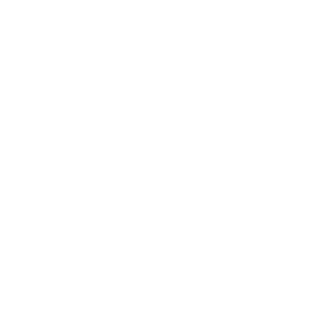 Logo_blanc_protection_incendie_de_lest