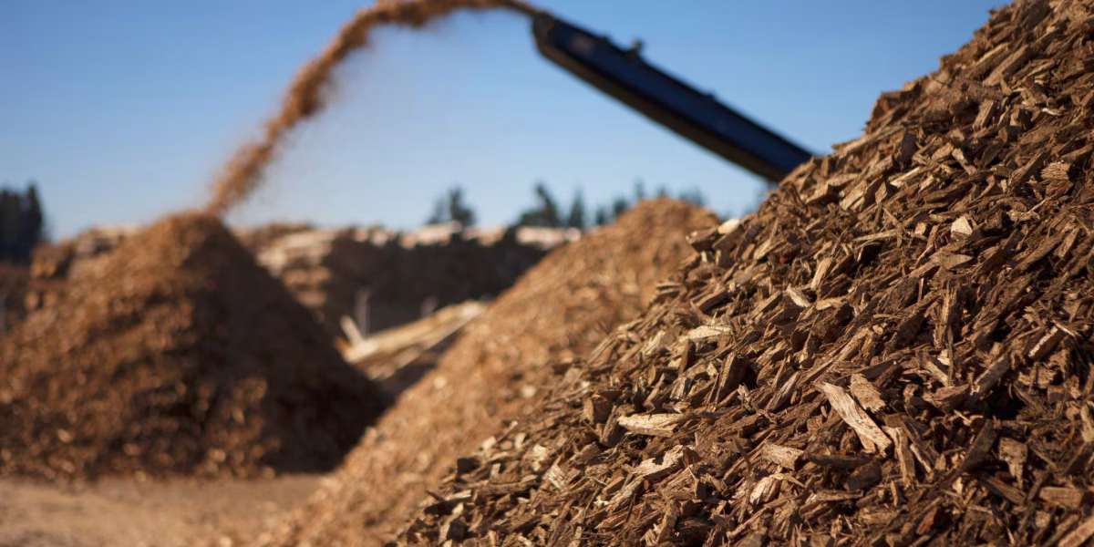 biomasse_plomberie_de_lest