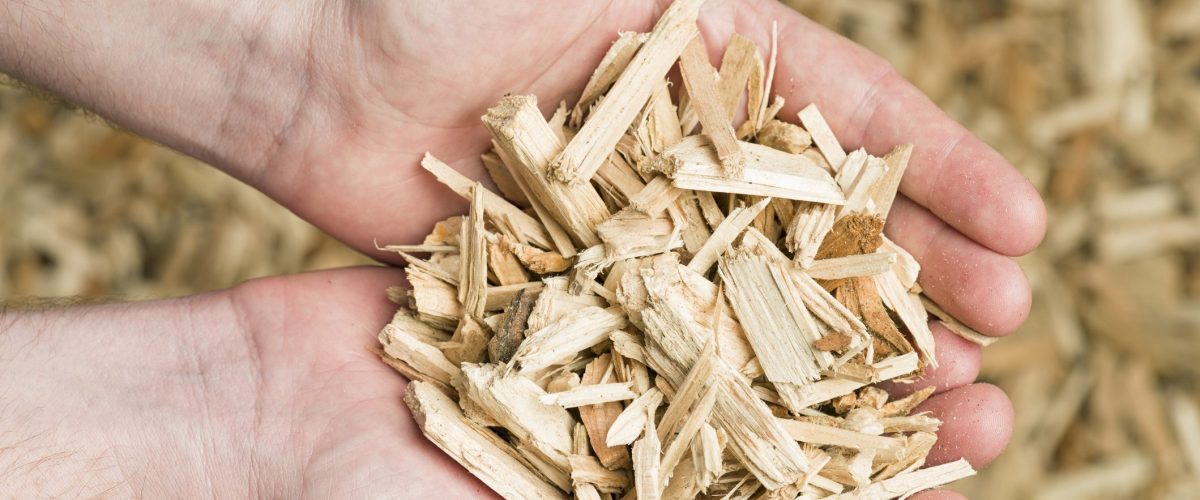 biomasse_plomberie_de_lest